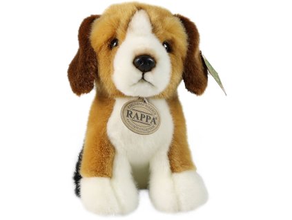 rewrite 101750 242579