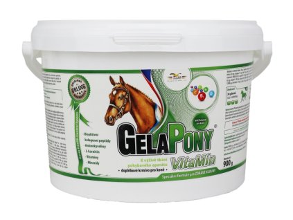 31315 1 gelapony vitamin