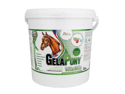 31315 gelapony vitamin
