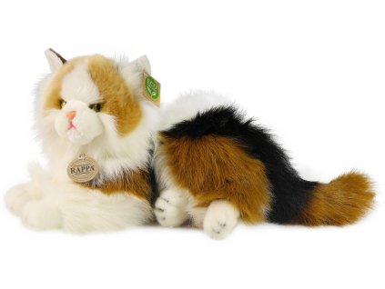 rewrite 79946 241848