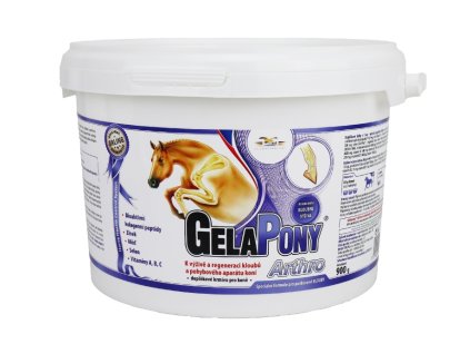 31327 1 gelapony arthro