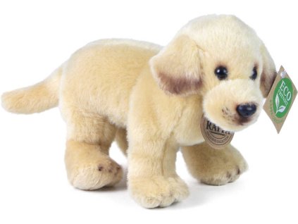 rewrite 39801 211377