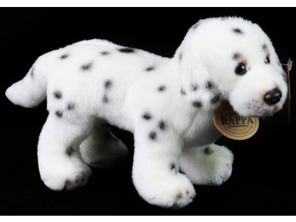 rewrite 66872 211360