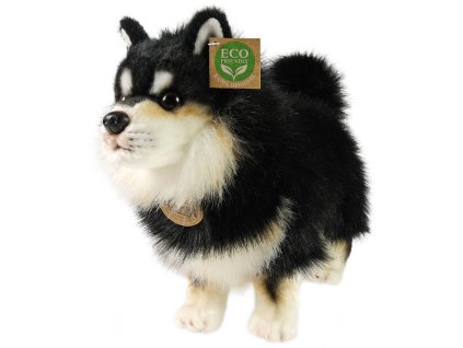 rewrite 144020 252349