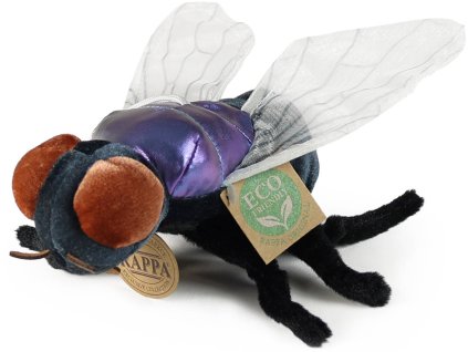 rewrite 94943 255999