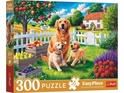 rewrite 322018 tr23101