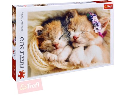 rewrite 76236 tr137271