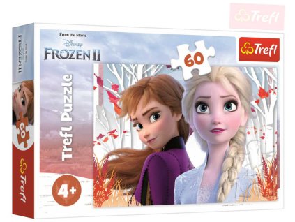 rewrite 79220 tr117333