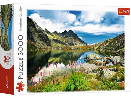 rewrite 260954 tr33031