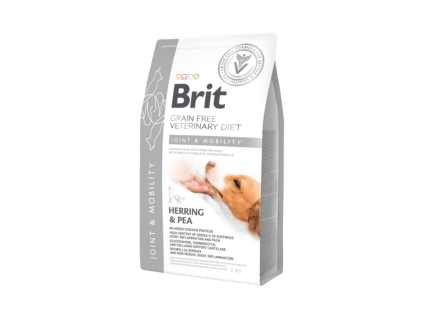 15421 1 brit vd dog gf mobility