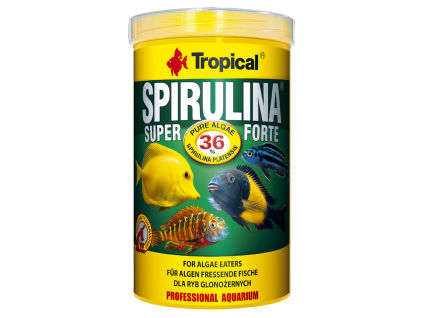 6013 tropical super spirulina forte