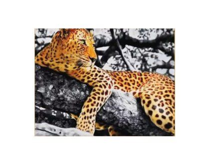 2d53c580717bd6e609333da3e65962dd