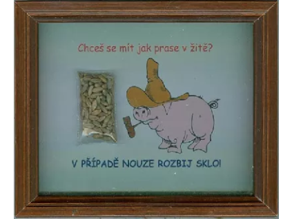 zito.jpg.big