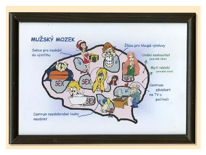muzsky mozek schema.jpg.big