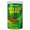 Tropical Green Algae Wafers 250ml/113g