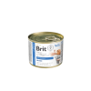 14821 brit vd dog cat gf konz recovery