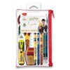 229853 souprava maped harry potter 10 ks