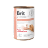 14923 2 brit vd dog gf konz renal