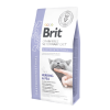 15325 2 brit vd cat gf gastrointestinal