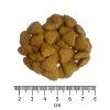 OPTIMAnova Cat Mature Sterilised 2 kg