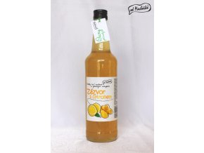 Sirup Zázvor s citronem 500 ml Od Macháčků