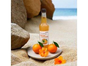 Sirup Zázvor s pomerančem 500 ml Od Macháčků