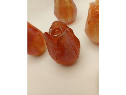 Tulipán - sada 6 ks