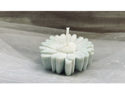 sedmikráska srdce "zelená"