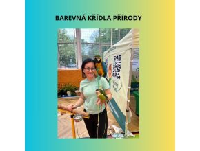Barvící granulky do svíček