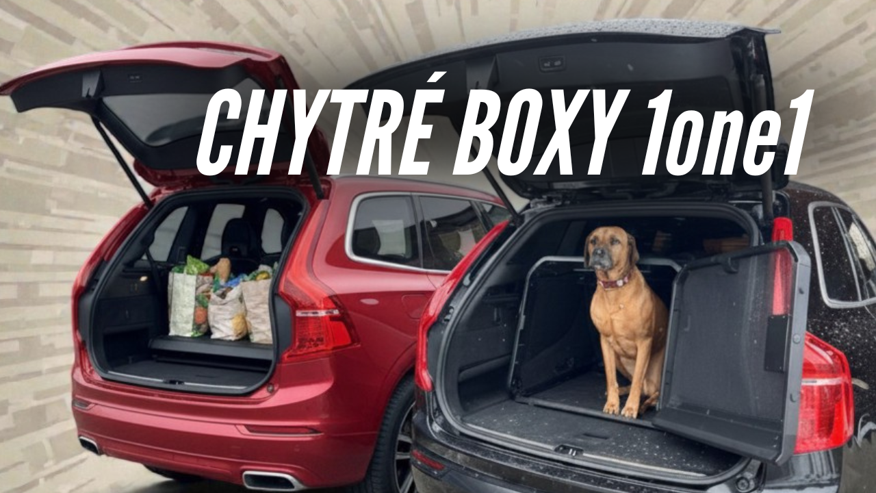 Boxy na psy 1one1 - novinka roku 2026