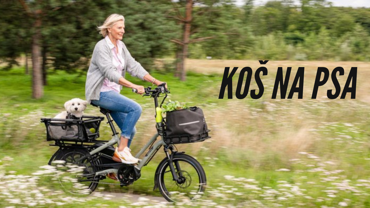 Koš na psa