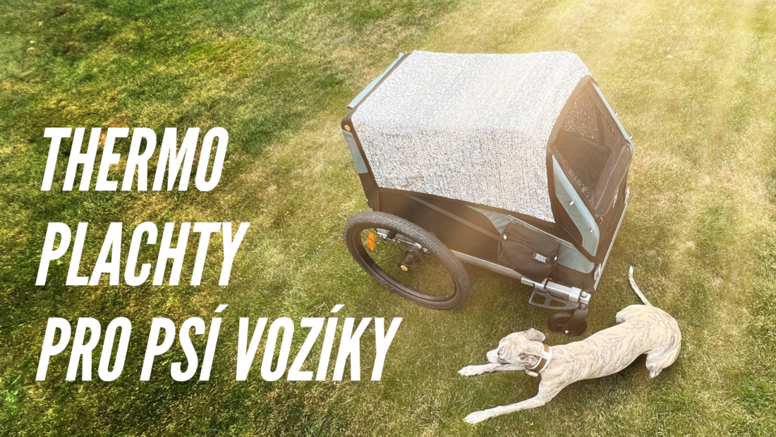 Chraňte svého čtyřnohého kamaráda před letním horkem!