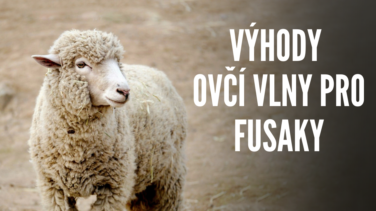 V čem je jedinečná ovčí vlna?