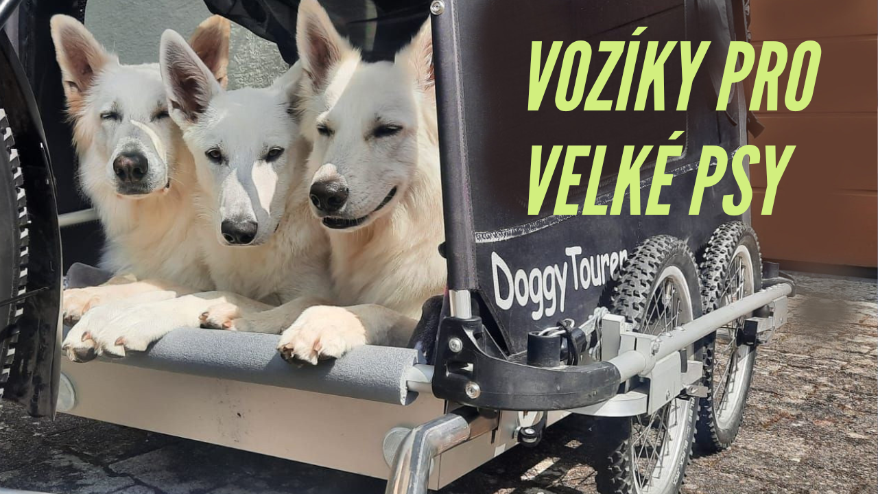 Cyklovozíky a kočárky pro velké a obří psy