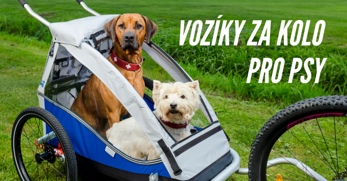 Kdy využijete vozík za kolo pro psa?