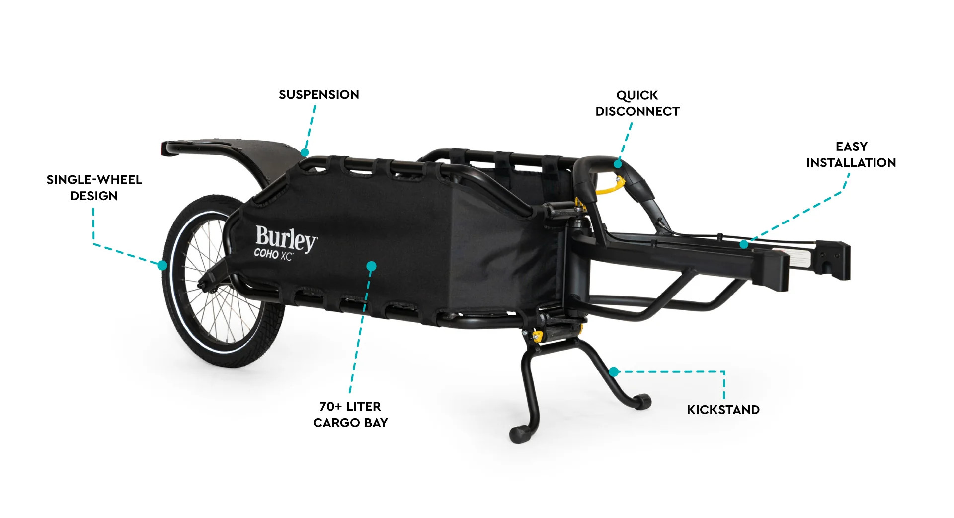 Burley_Coho_prenosti