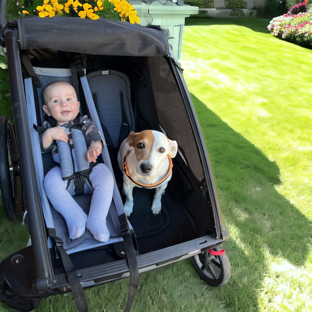 miminkovnik-dogy-v-thule-a-pes