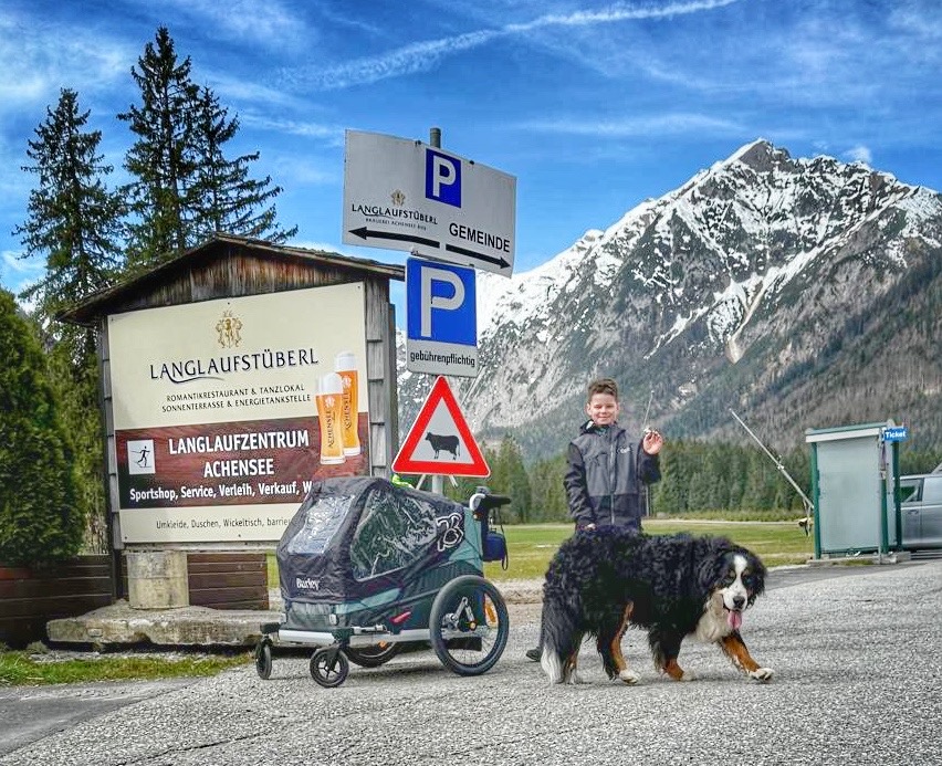 invalidni-vozik-pro-psy-dogy