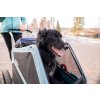 Vozík BURLEY Bark Ranger DOG XL