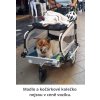 DoggyTourer X snoopy m kocarek