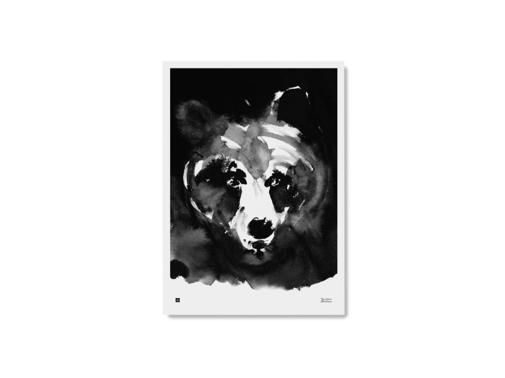 Plakát s motivem medvěda Mysterious bear 50x70