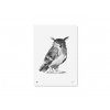 Plakát s motivem sovy Eagle Owl 50x70