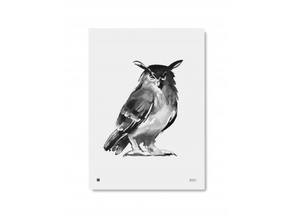 Plagát s motívom sovy Eagle Owl 50x70