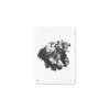 Plagát s motívom medveďa Roaring bear 50x70