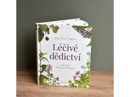 ffa55131 feee 4b82 81b9 4c3c24c5c1e8