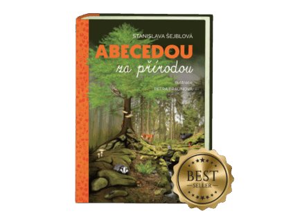 kniha bestseller 1 300x300