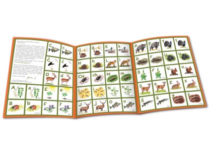 Pexeso lic min 970x407