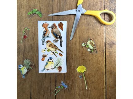 2913 7 vzorek magicke samolepky ptaci