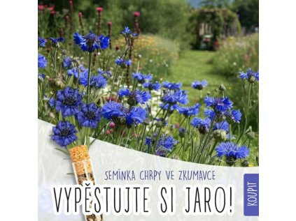 c4621187 bcef 48d7 938c cb1bf3c3fb21