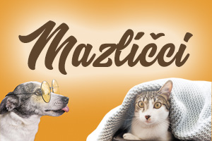 Domácí mazlíčci